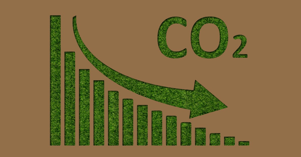 Image showcasing Top Environmental Benefits of Reducing Carbon Footprint